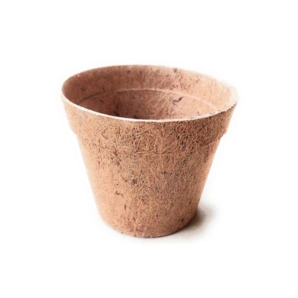 Coir Pot